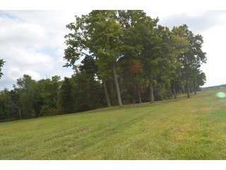 Home in Dekalb County, Indiana - MAJOR LAND AUCTION - 516+/- ACRES OFFERED IN 18 TRACTS OR COMBINATIONS IN DEKALB COUNTY, INDIANA